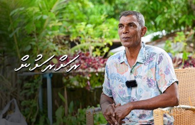 މި ރަށުގައި މަގޫ ގަހުގައި އަޅަނީ "ފައިސާ"