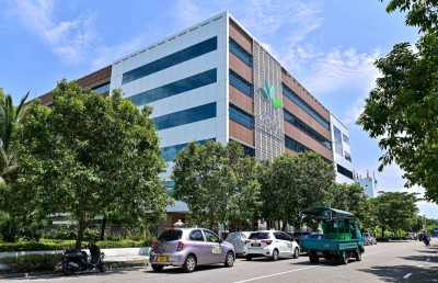 ޓްރީ ޓޮޕްގައި ދަތް ބްލީޗުކުުރުމުން ދަތް ސާފުކުރުމުގެ ހިދުމަތް ހިލޭ ދެނީ