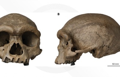 މި ނާށިގަނޑަށް 146،000 އަހަރު!