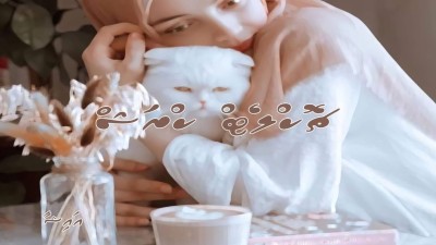 ޗޮކްލެޓް ކްރަޝް 23