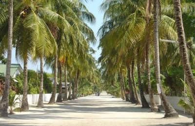 މަހަކަށް ވުރެ ގިނަ ދުވަސް ފަހުން ތިން ރަށެއް ހުޅުވާލައިފި