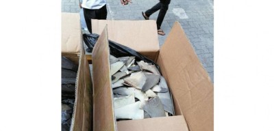 މިޔަރު އުރަހަތަކެއް ބޭރުކުރަން އުޅުނު މައްސަލައިގައި ދައުވާކޮށްފި