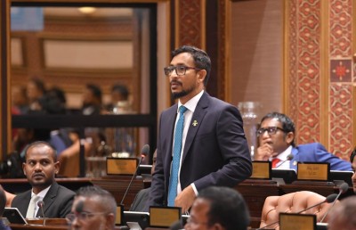ގެދޮރުވެރިކަމަށް ހާއްސަ ކޮމިޓީއެއް މަޖިލިހުން އުފައްދަނީ