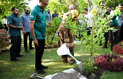 ފަސް މިލިއަން ގަސް އިންދުމުގެ މަޝްރޫއު ރައީސް ފައްޓަވައިދެއްވައިފި