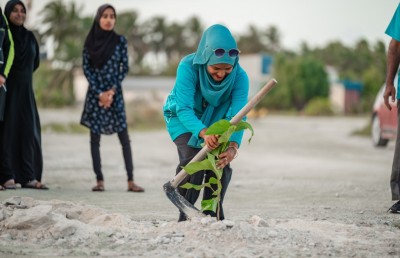 އިއްޔެ އެކަނި 40،000 ގަސް އިންދައިފި