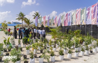އިއްޔެ އެކަނި 40،000 ގަސް އިންދައިފި