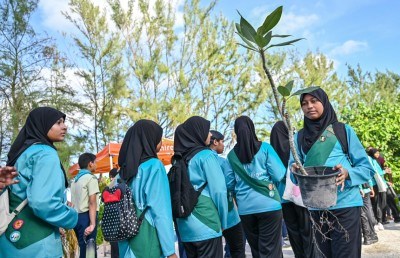 ސިމްޑީ އިން ހުޅުމާލެ 2 ގެ ބީޗުގައި 100 ގަސް އިންދައިފި
