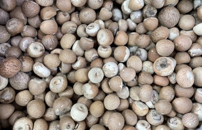 ފޯއް ބަސްތާއެއްގެ އަގު 9،000ރ. އަށް އަރައިފި