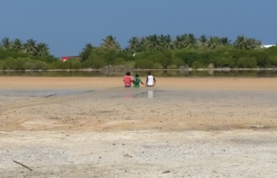 ކުޅުދުއްފުށީ ކުޅި ނުހިއްކާނެ، އެތާނގައި ހަދާނީ ނޭޗާ ޕާކެއް