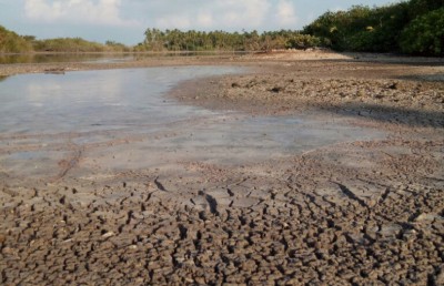 ކުޅުދުއްފުށީ ކުޅި ނުހިއްކާނެ، އެތާނގައި ހަދާނީ ނޭޗާ ޕާކެއް