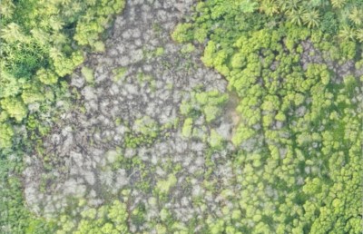 މަރުވަމުންދާ ކެލާގެ ކަނޑޫފަލަށް އާ އުންމީދެއް!