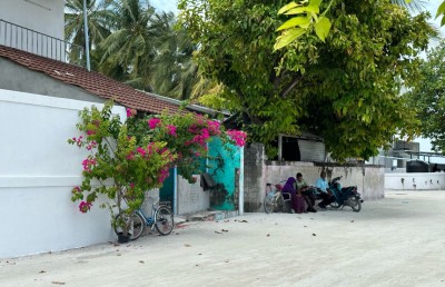 ފިޔޯރީން ގެއްލުނު ކުއްޖާ ފެނުނީ ފަޅުގެއެއްގެ ތެރޭގައި ހޭނެތިފައި އޮއްވައި