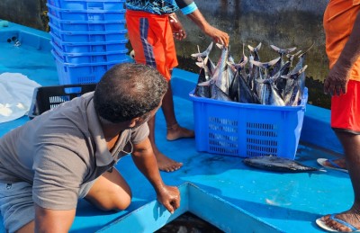 މަސްވެރިންނަށް ފައިސާ ދިނުމަށް ގޮވާލާ އެމްޑީޕީގެ ކުއްލި މައްސަލައެއް!