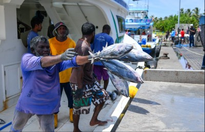 ނޫނެކެވެ، ހައްލަކީ މިފްކޯ އުވާލުމެއް ނޫނެވެ.
