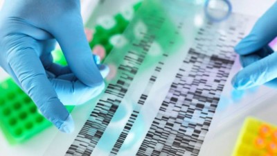 އިސްލާމީ ޤަޟާއީ ނިޒާމުގައި ފޮރެންސިކް ހެއްކާއި ޑީއެންއޭ 1