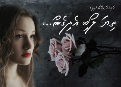 ތިޔަ ލޯބި އެދިގެން... - 13