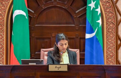 މަޖިލީހުގެ ތަޅުމުގައި ކުރާނެ މަސައްކަތެއް ނެތް