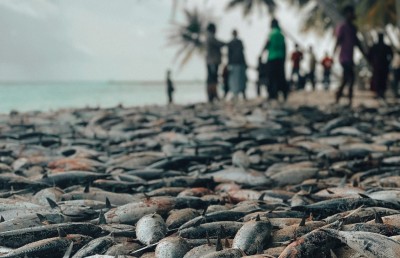 ބުރުންޏަށް އަނެއްކާވެސް ރާގޮނޑީގެ އީދެއް!