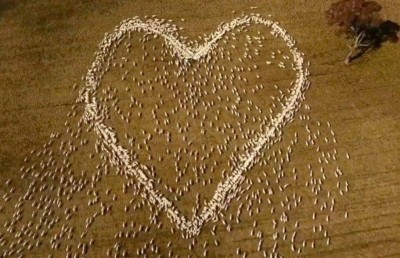 ބޮޑުދައިތަގެ ހަނދާނުގައި ކަންބަޅިތަކުން ކުރަހާލީ ހިތެއް