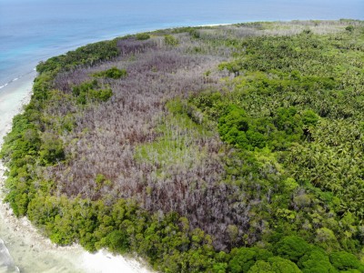 ނޭކުރެންދޫ ކަނޑޫފަލުން ސާމްޕަލް ނެގިތާ އަހަރެއް، ސަބަބު އަދިވެސް ނުހޯދޭ