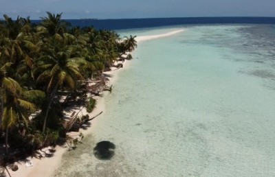 ކުއްޖާ މަސްފެންގަނޑަށް ވެއްޓުނީ މަންމައަށް ނިދިފައި އޮއްވައި!