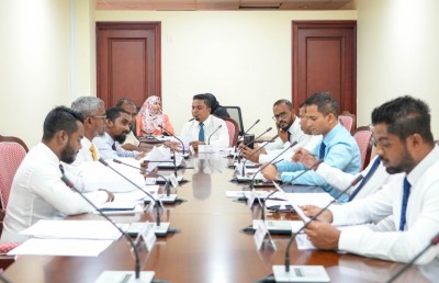 މިދިޔަ އަހަރު 11 މީހަކަށް ދިވެހި ރައްޔިތުކަން ދިން، ފަލަސްތީނުގެ މީހަކު ވެސް ހިމެނޭ