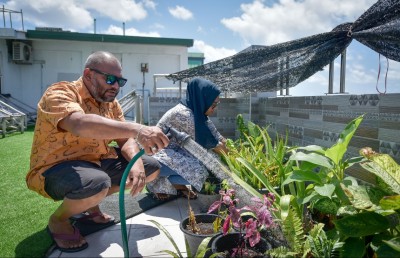 ސައިމަންގެ އެއް ދުވަސް: ގެއިން ހޮސްޕިޓަލަށް