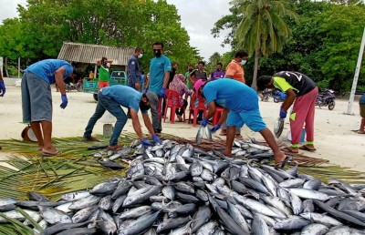 އަމިއްލަ ފަރާތަކުން ނޮޅިވަރަމް ރައްޔިތުންނަށް 1.2 ޓަނުގެ ރޯމަސް ހަދިޔާކޮށްފި