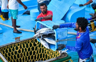 ދެކުނުގައި މަސް ގަންނަ ހަތަރު ބޯޓެއް ފެލިވަރުގެ ދަށަށް ބަދަލުކޮށްފި