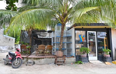 ވޭމަންޑޫގެ މި އާއިލާ އިން "ވެޔޮގަނޑު" ފަތުރާލައި ހިތްހަމަޖެހިގެން