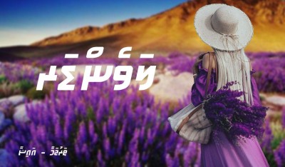 ލަވެންޑަރ 34