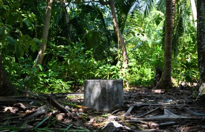 "ފީބޯ ވަޅު" ހޯދަން ކުޑަދޫގައި