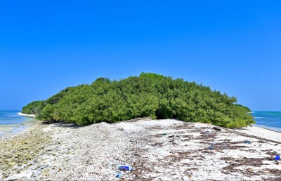 "ފީބޯ ވަޅު" ހޯދަން ކުޑަދޫގައި