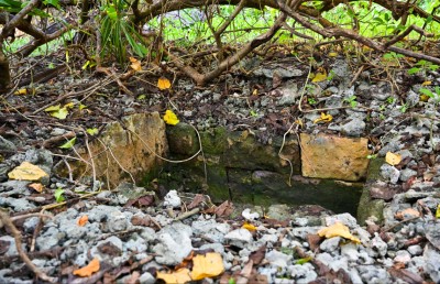 "ފީބޯ ވަޅު" ހޯދަން ކުޑަދޫގައި