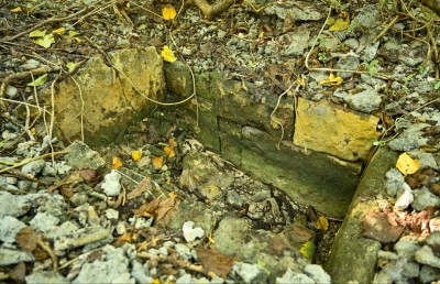 "ފީބޯ ވަޅު" ހޯދަން ކުޑަދޫގައި