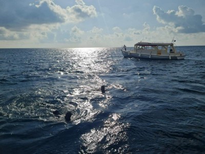 ވައިގެ މަގުން ބަލައިގެންވެސް ގެއްލުނު ފަތުރުވެރިޔާ ނުފެނޭ