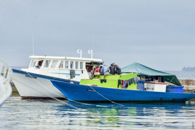 މިފްކޯއިން ވެސް ތެޔޮ ވިއްކާ އަގުބޮޑުކޮށްފި