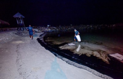 ރަސްފަންނު ކަޅުތެލުން ތަޣައްޔަރުވެއްޖެ