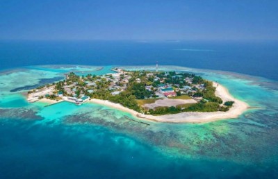 ގާތުން ބޯން އޮއްވައި، އެއް މަހުގެ ތުއްތު ކުއްޖަކު މަރުވެއްޖެ