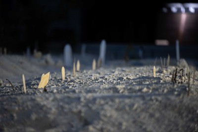 ކޮވިޑް ޖެހިގެން މިއަދު ތިން ވަނަ މީހަކު މަރުވެއްޖެ