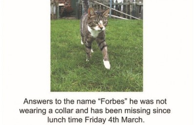 ގެއްލުނު ބުޅަލެއް 10 އަހަރު ފަހުން ފެނިއްޖެ