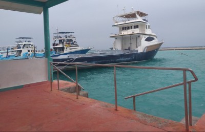 ގަޑިއަކު 18 ނޯޓިކަލް މޭލު، މިއީ އެންމެ ސްޕީޑް ބާރު މަސްދޯނި!