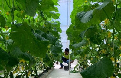 އެނބުރެމުން ގޮސް ދަނޑަށް، މިހާރު އެއީ "ޒުވާން ދަނޑުވެރިޔާ"