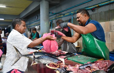 މަސްވެރިކަން ރަނގަޅުވާން ފަށައިފި، މާލެ ކައިރީގައި މަސްކިރާ ބޯޓެއް