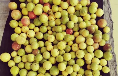 އެނބުރެމުން ގޮސް ދަނޑަށް، މިހާރު އެއީ "ޒުވާން ދަނޑުވެރިޔާ"