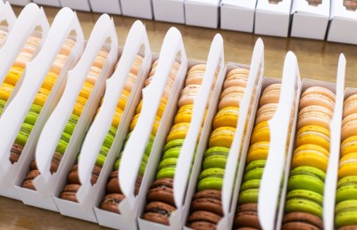 ފޮނިތޮށި ކާފޫރު ތޮޅިއެއް ނޫން: މާ ފޮނި، މާ އުފާވެރި ރަހަތަކެއް