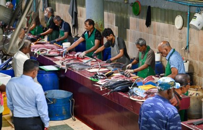 މަސްވެރިކަން ރަނގަޅުވާން ފަށައިފި، މާލެ ކައިރީގައި މަސްކިރާ ބޯޓެއް