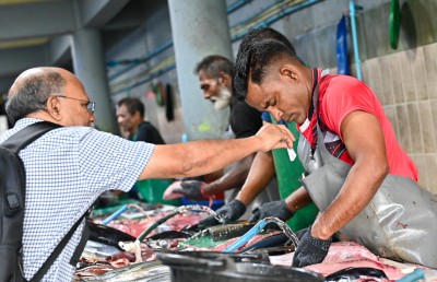 މަސްވެރިކަން ރަނގަޅުވާން ފަށައިފި، މާލެ ކައިރީގައި މަސްކިރާ ބޯޓެއް