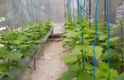 ރެދަނުން ވިދާ ބަބުޅާ ވާދޫ؛ މިއީ އެހެން ދުނިޔެއެއް!