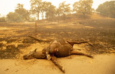 ރައީސް ޝީގެ ތިމާވެށީގެ އިސްނެންގުވުމަށް ތައުރީފު